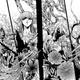 Illustration for article titled In The Latest Chapter Of... Saintia Sho (Ch.4em/em3)